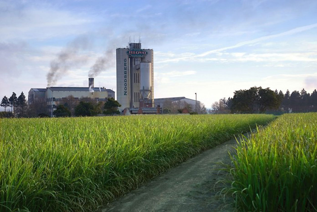 About Us Wallace & Green